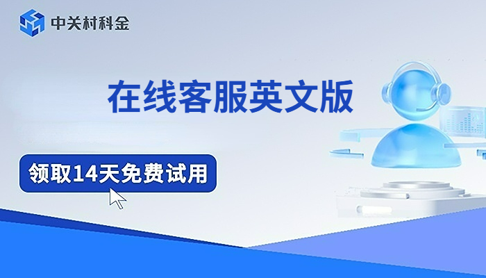 在线客服英文版机器人