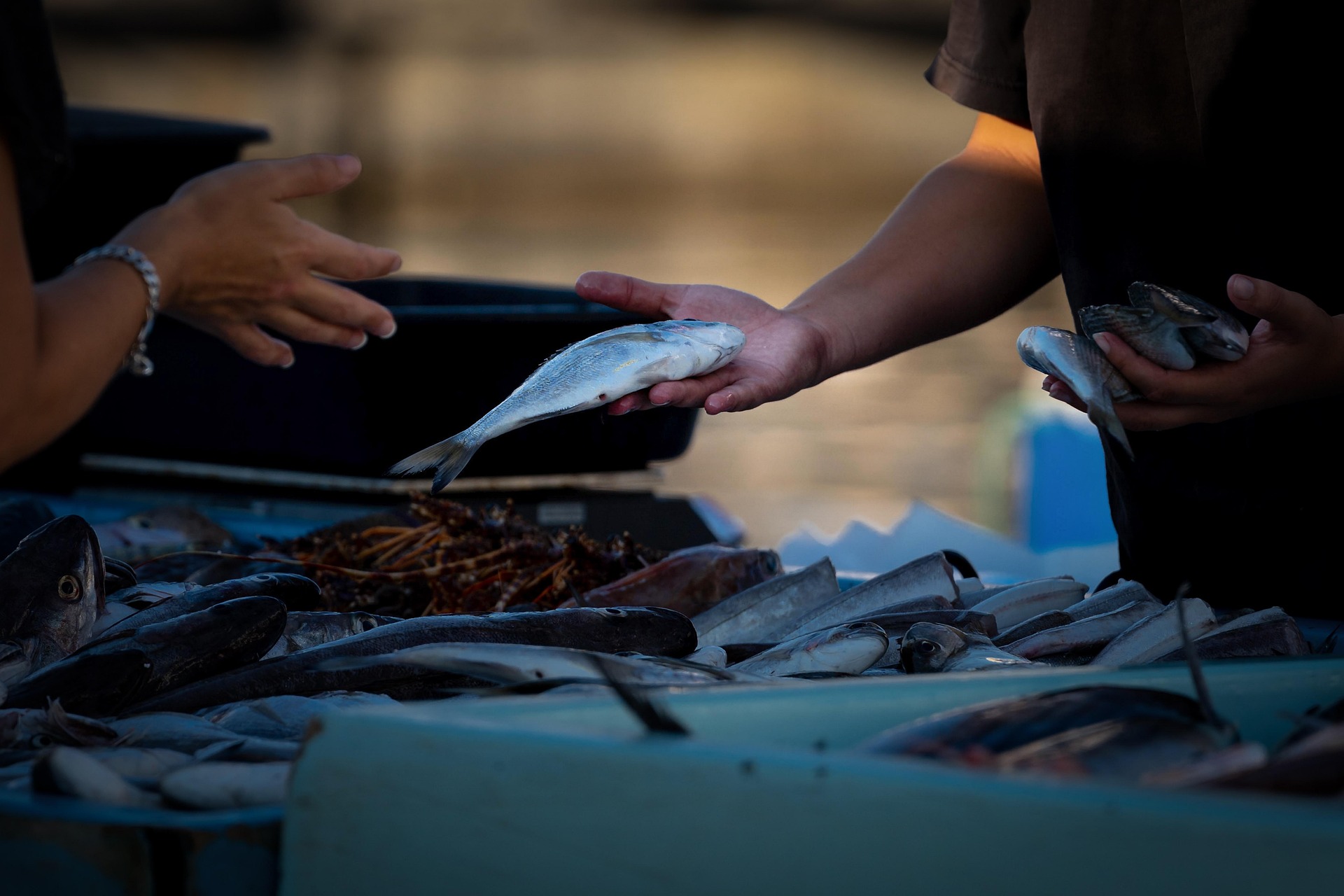 mariya_m-fish-market-7519944_1920.jpg
