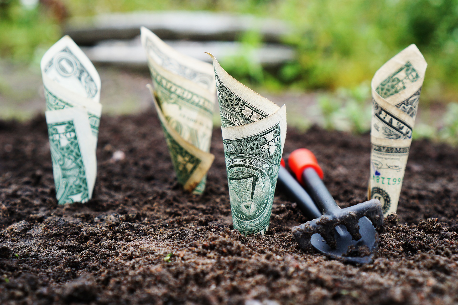 thedigitalway-money-1604921_1920.jpg