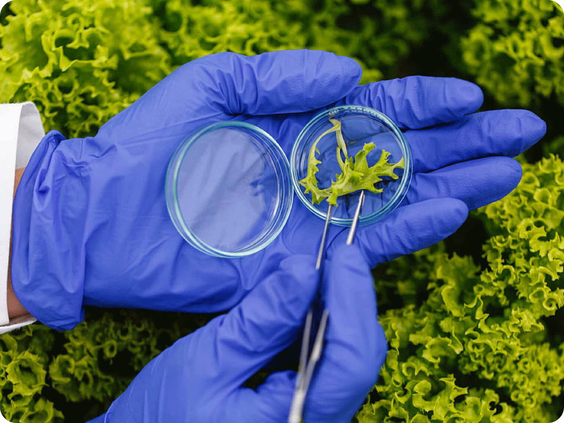 政务协同一体化解决方案-某农业部门