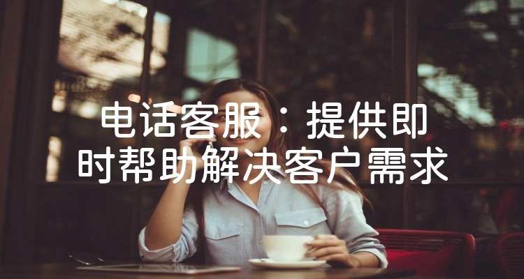 电话客服：提供即时帮助解决客户需求
