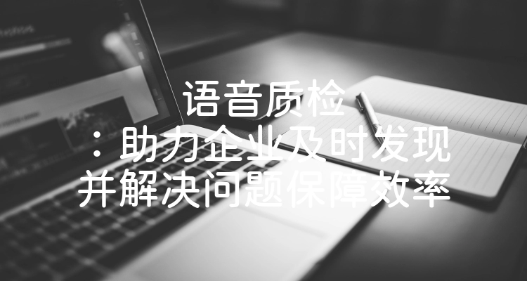 语音质检：助力企业及时发现并解决问题保障效率