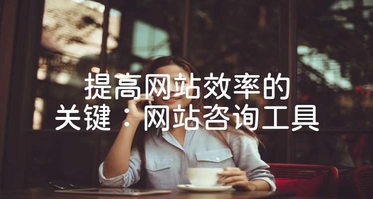 提高网站效率的关键：网站咨询工具