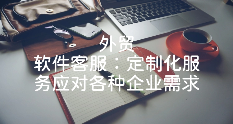 外贸软件客服：定制化服务应对各种企业需求