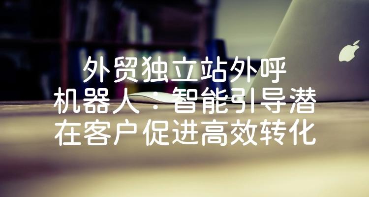 外贸独立站外呼机器人：智能引导潜在客户促进高效转化