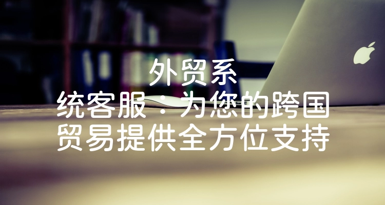 外贸系统客服：为您的跨国贸易提供全方位支持