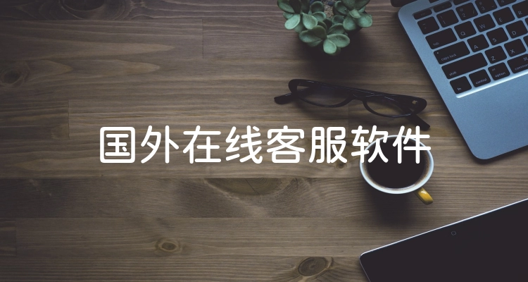 国外在线客服软件